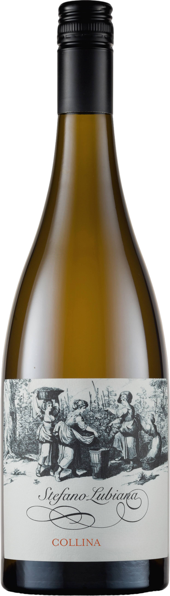 Stefano Lubiana Collina Chardonnay 2023 bottle — Tasmania